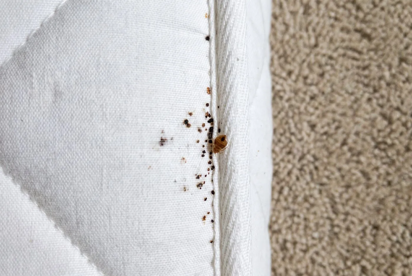 Dark marks on mattress seams
