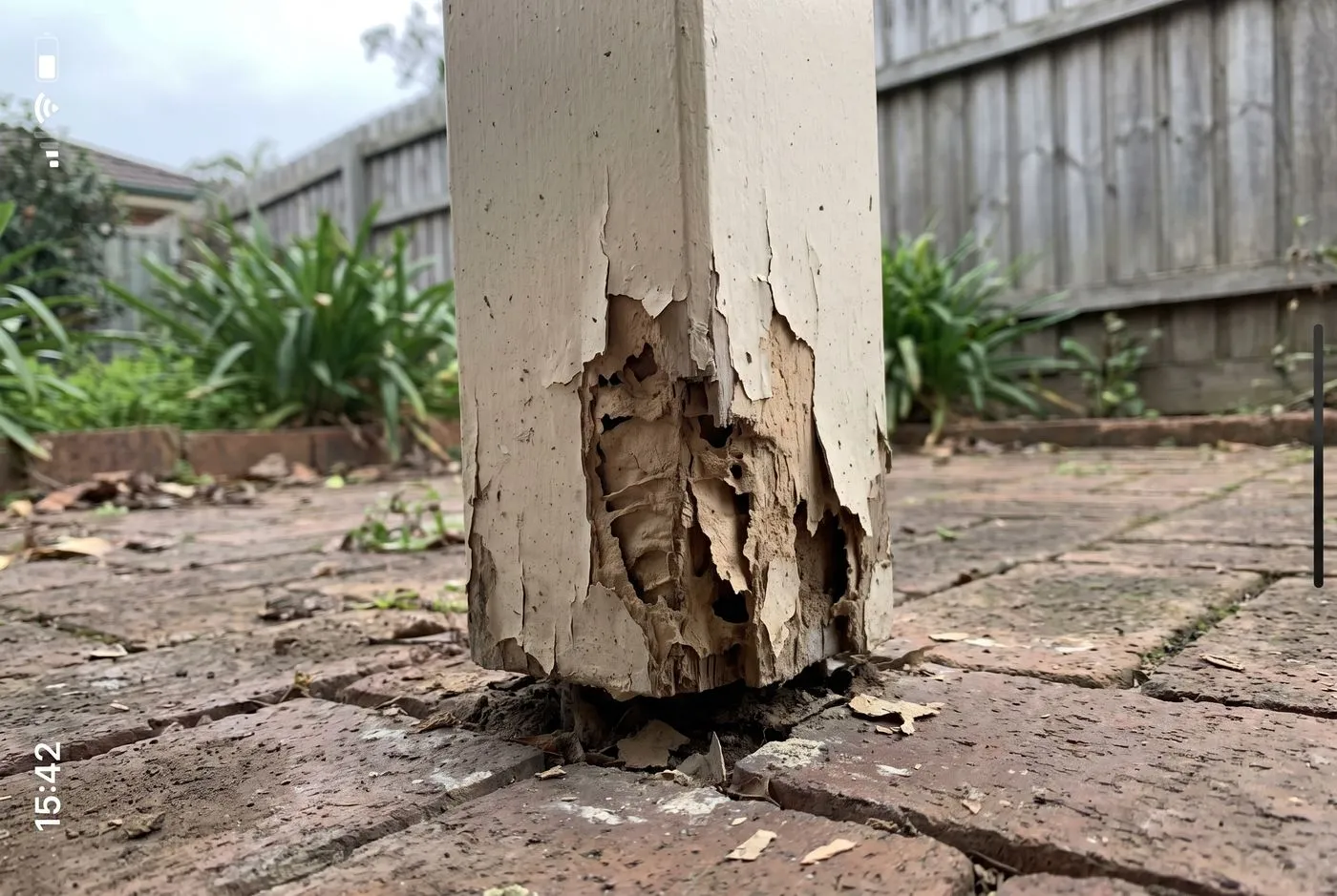 Crumbling, hollow timber