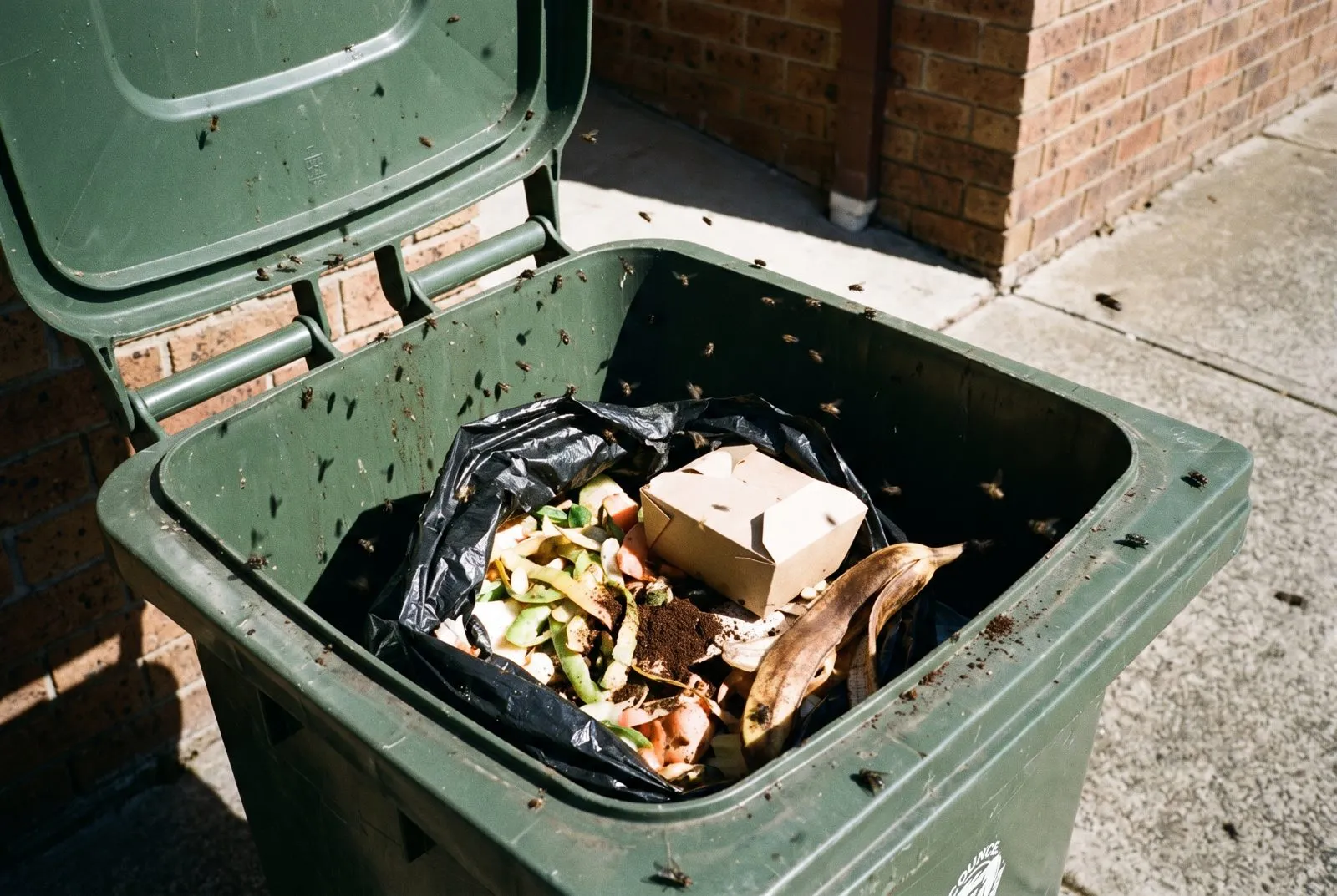 Uncovered bins and compost