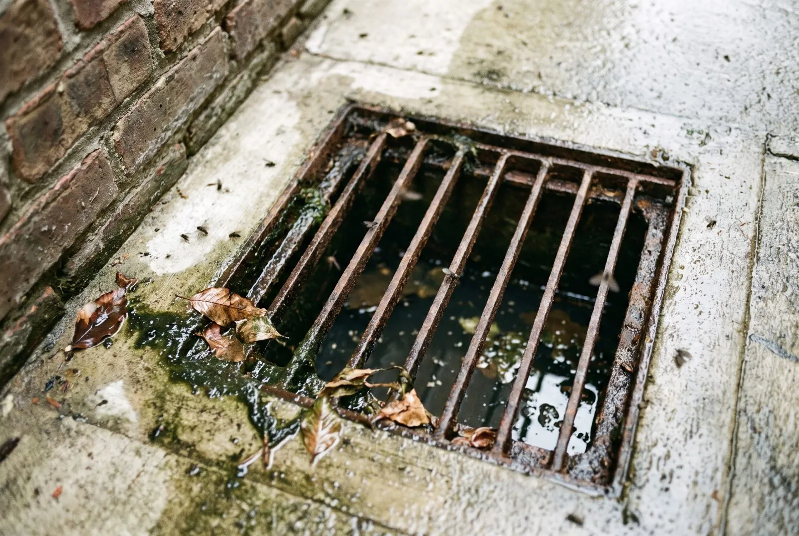 Drains and grease traps