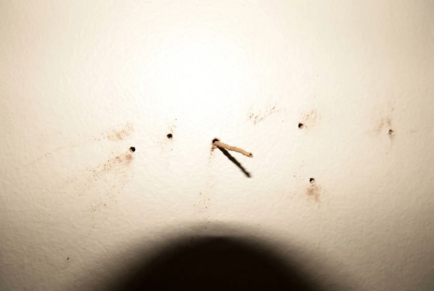 Pinholes in plasterboard
