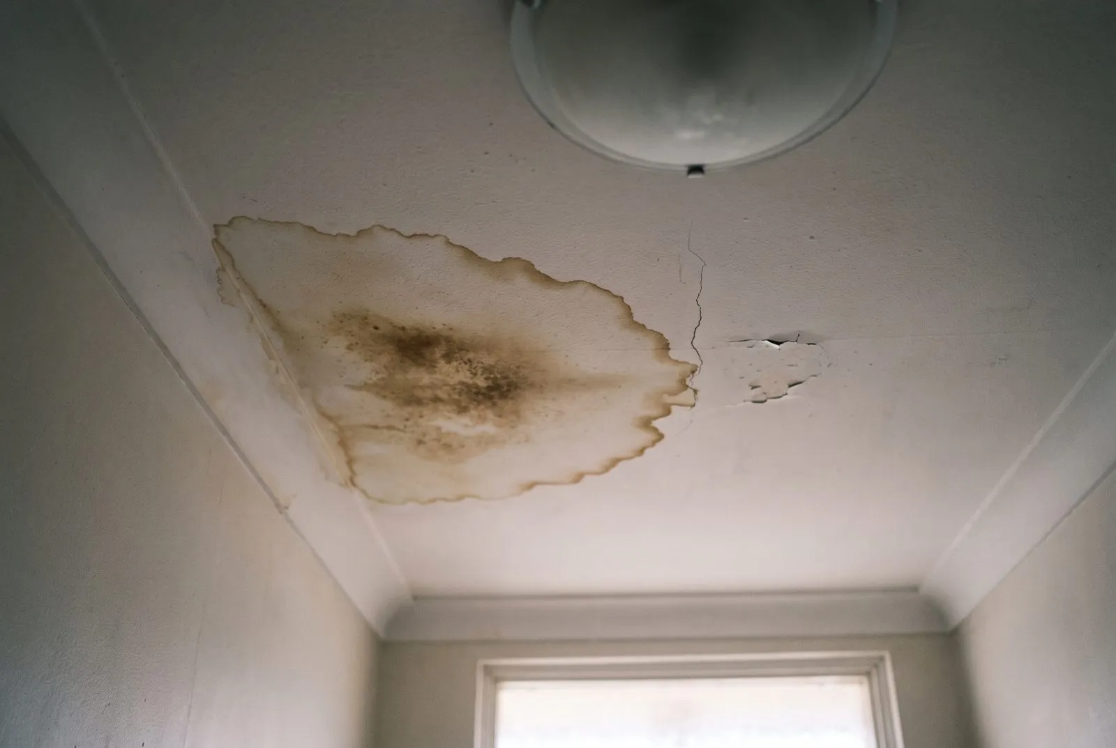 Ceiling stains from urine