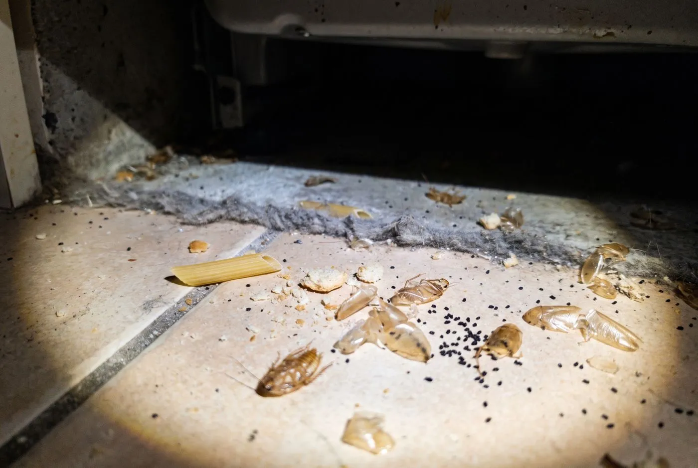 Shed skins under appliances